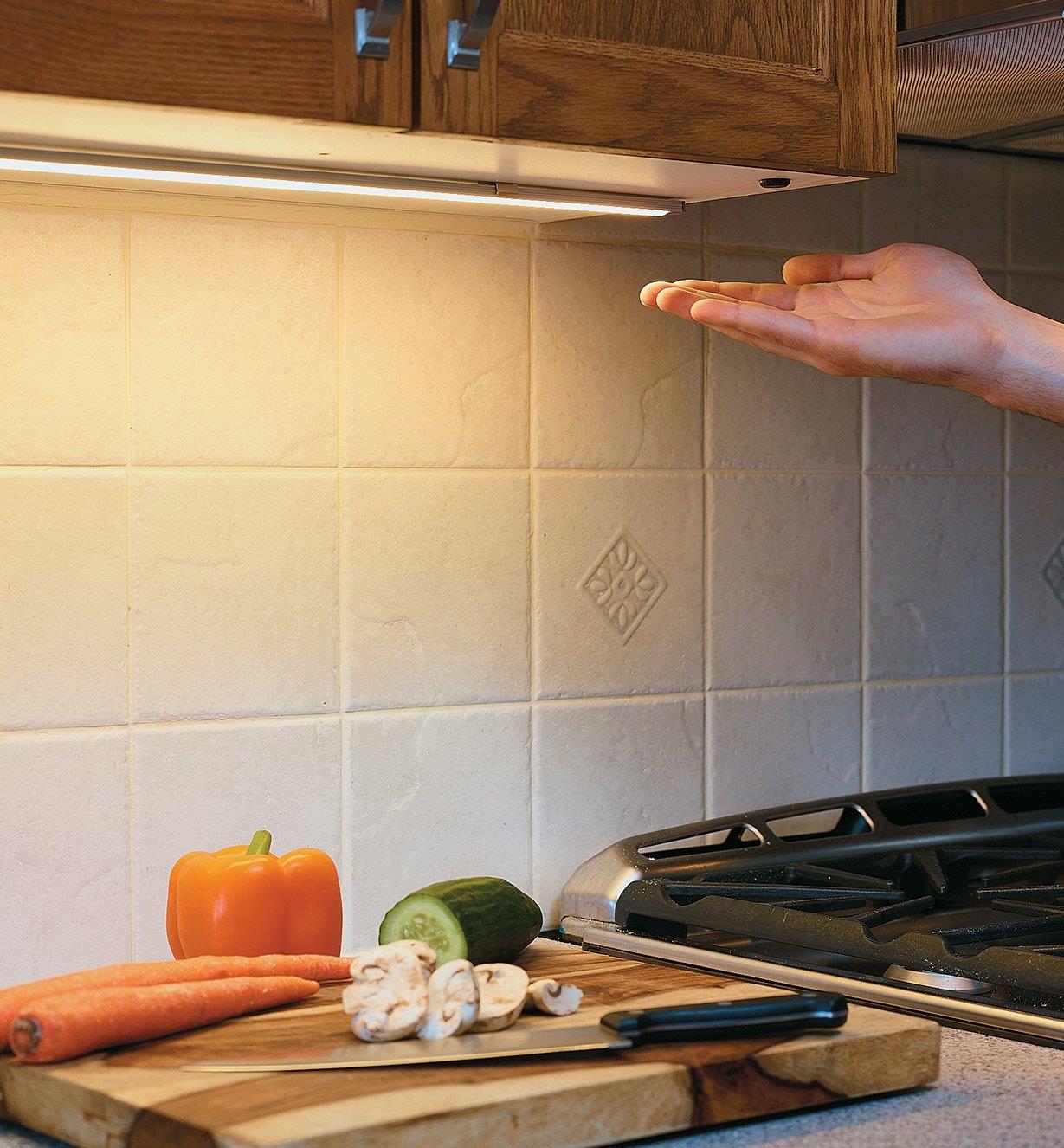Đèn Châu Âu - Đèn LED Châu Âu - Đèn LED Cao Cấp - Đèn Cao Cấp- EUROLED